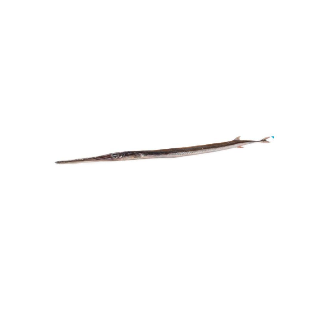 Trompeta
